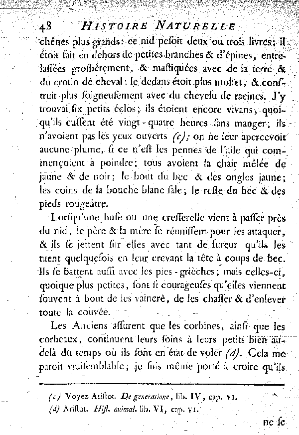 La Corbine ou Corneille noire