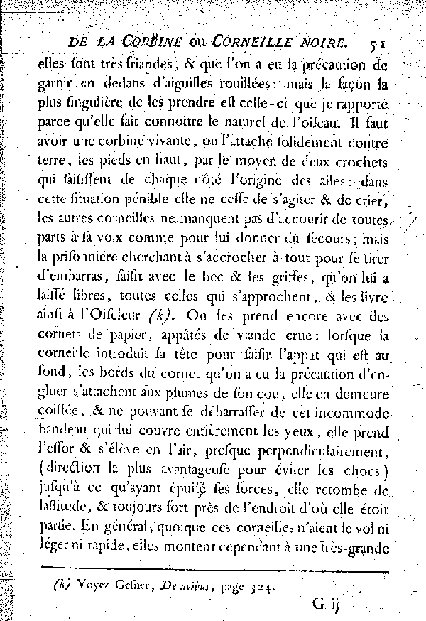 La Corbine ou Corneille noire