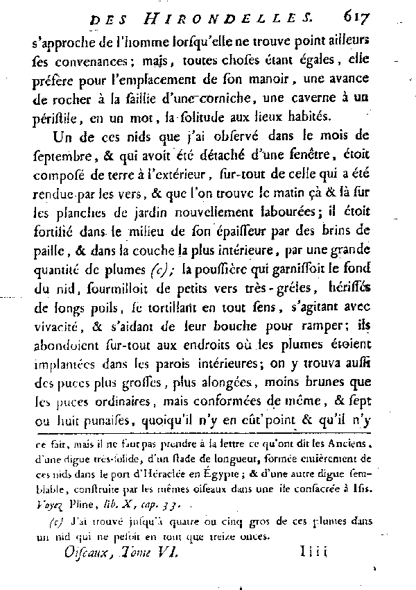 L'Hirondelle au croupion blanc ou l'Hirondelle de fenêtre.