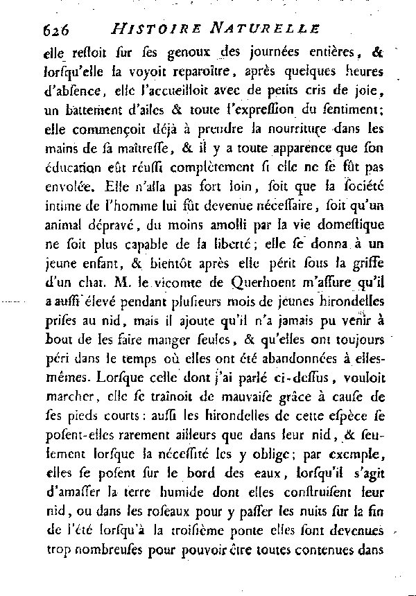 L'Hirondelle au croupion blanc ou l'Hirondelle de fenêtre.