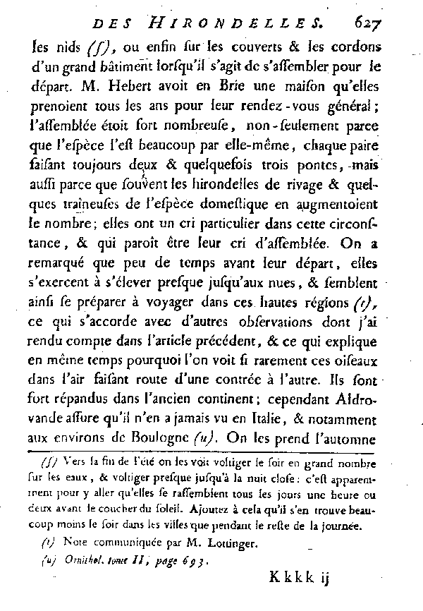 L'Hirondelle au croupion blanc ou l'Hirondelle de fenêtre.