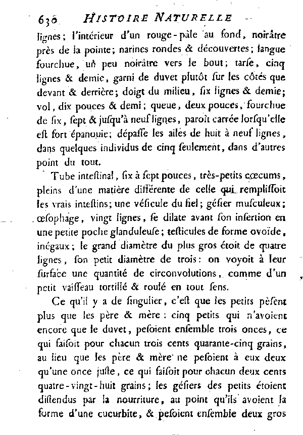 L'Hirondelle au croupion blanc ou l'Hirondelle de fenêtre.