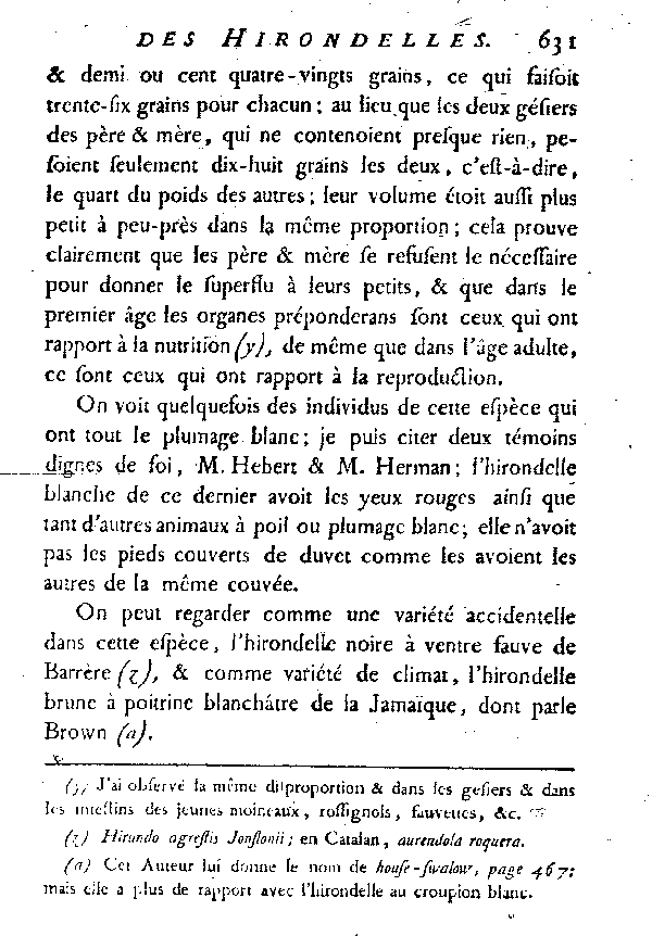 L'Hirondelle au croupion blanc ou l'Hirondelle de fenêtre.