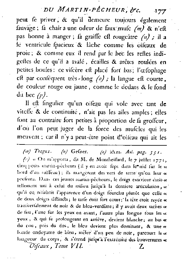 LE MARTIN-PêCHEUR ou L'ALCYON.