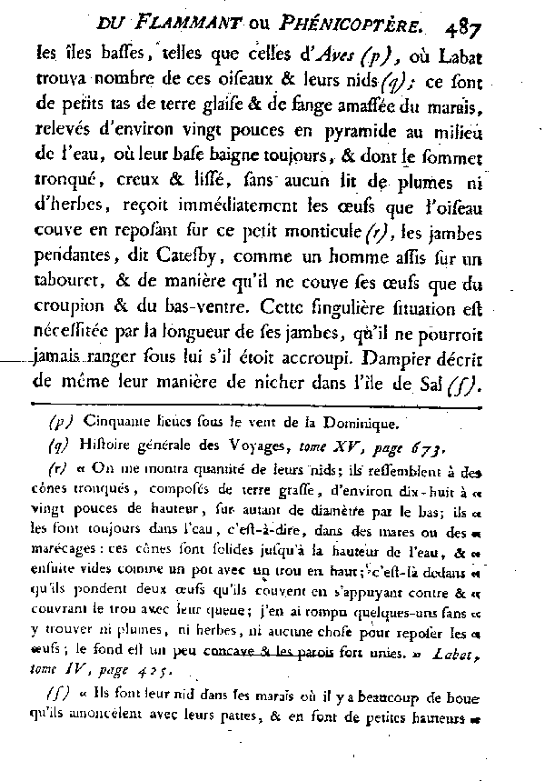 LE FLAMMANT ou LE PHéNICOPTèRE.