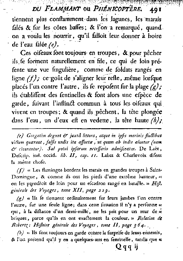 LE FLAMMANT ou LE PHéNICOPTèRE.