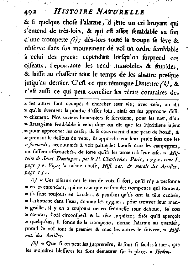 LE FLAMMANT ou LE PHéNICOPTèRE.