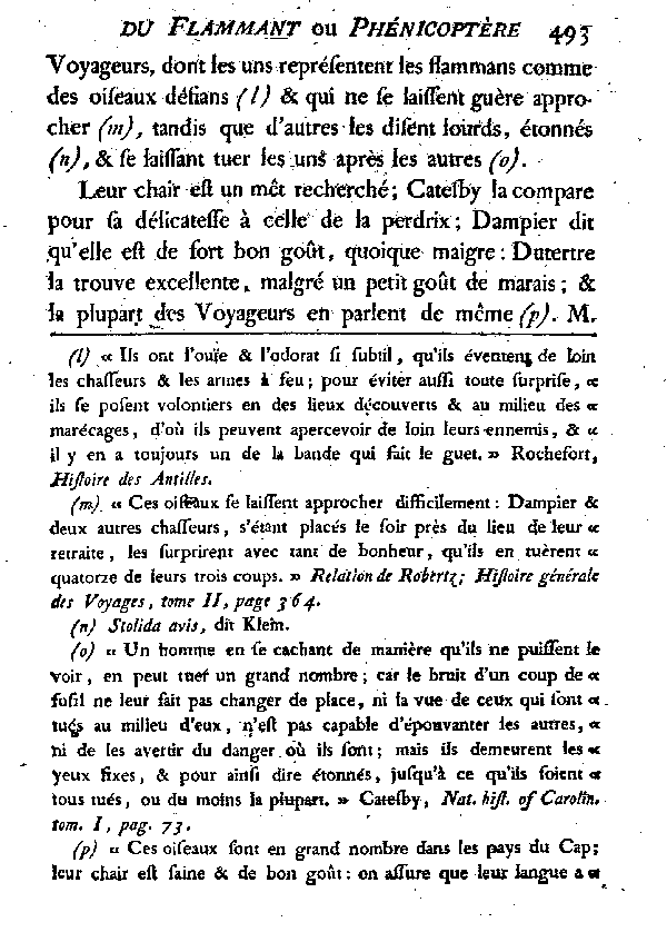 LE FLAMMANT ou LE PHéNICOPTèRE.