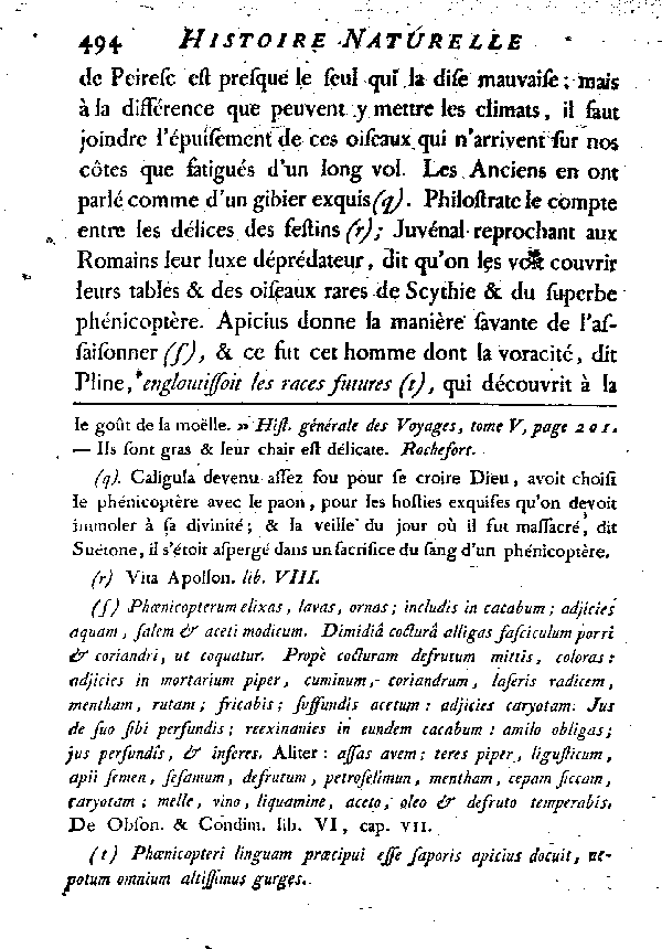 LE FLAMMANT ou LE PHéNICOPTèRE.