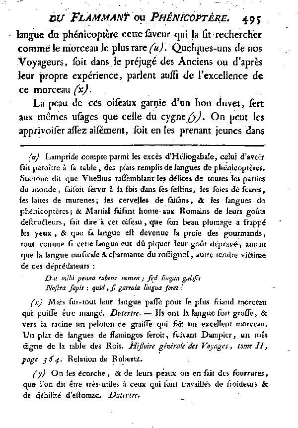 LE FLAMMANT ou LE PHéNICOPTèRE.