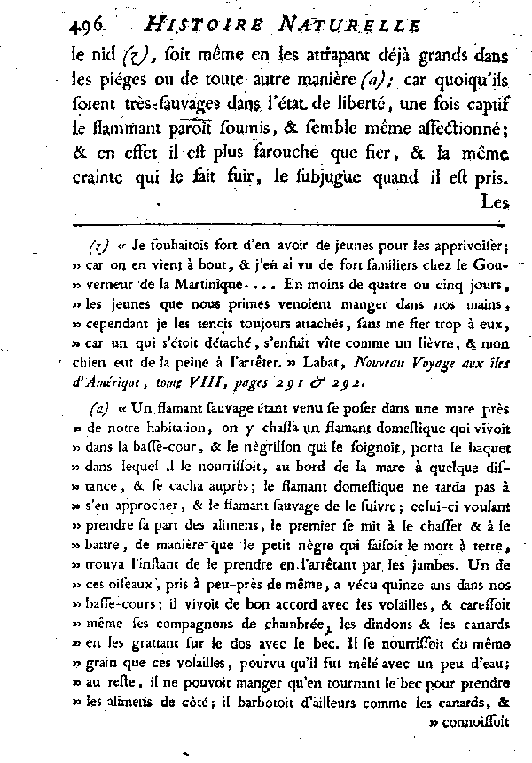 LE FLAMMANT ou LE PHéNICOPTèRE.