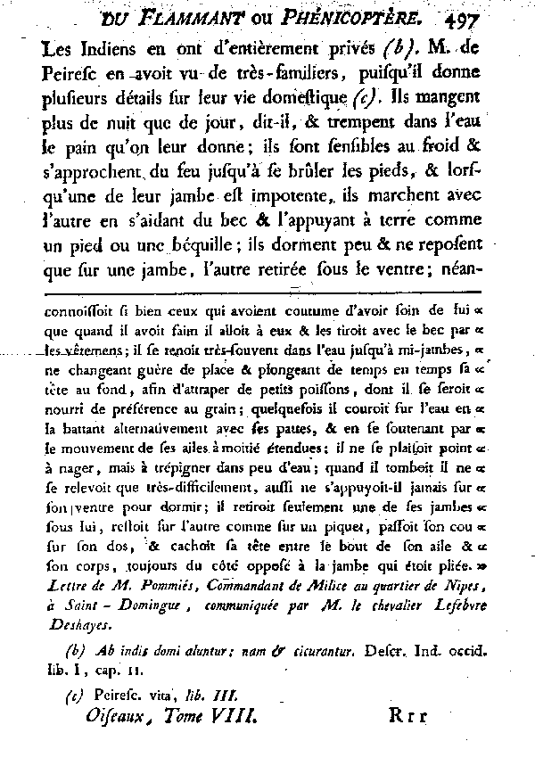 LE FLAMMANT ou LE PHéNICOPTèRE.