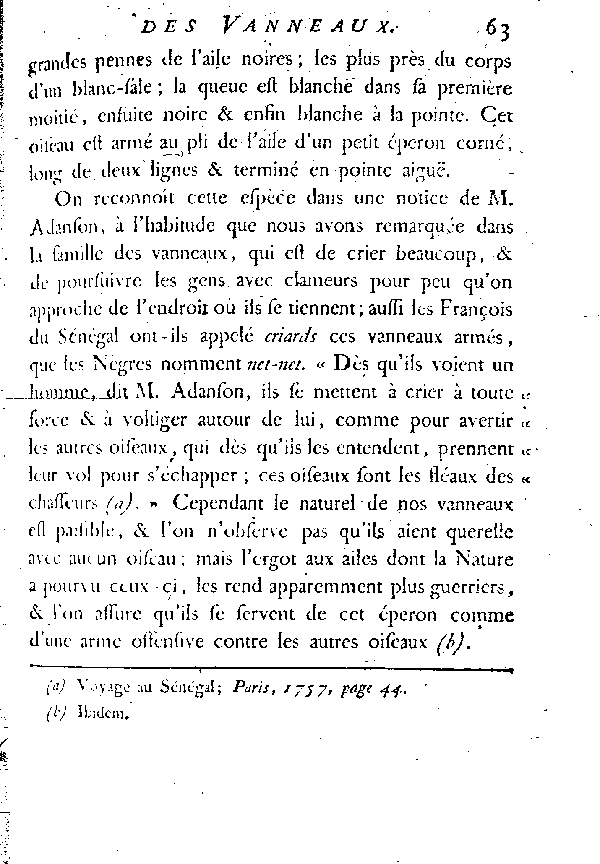 Le Vanneau armé du Sénégal.