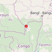 Bayanga