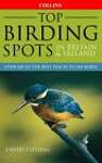 Top Birding Spots in Britain  Ireland