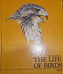 Life of Birds