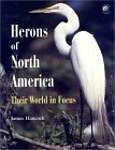 Herons of North America: Their World in Focus (Natural World)