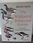 Wildfowl of Britain and Europe
