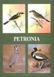 Petronia: Fifty Years of Post-Independence Ornithology in India : A Centenary Dedication to Dr. Salim Ali 1896-1996