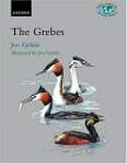 The Grebes: Podicipedidae