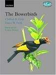 The Bowerbirds: Ptilonorhynchidae