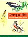 Neotropical Birds â' Ecology  Conservation