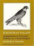 Eleonoraâ²s Falcon