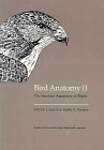 Bird Anatomy II: The Surface Anatomy of Birds