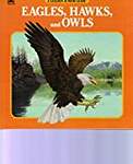 Eagles, Hawks, and Owls (Golden Junior Guides)