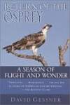Return of the Osprey: A Season of Flight and Wonder
