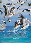 Pelican Sketchbook