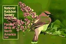 National Audubon Society Pocket Guide to Familiar Birds: Eastern Region