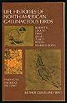 Life Histories of North American Gallinaceous Birds.
