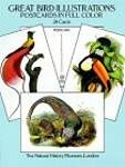 Great Bird Illustrations Postcards in Full Color