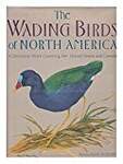 The Wading Birds of North America