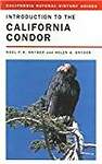 Introduction to the California Condor