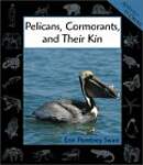 Pelicans, Cormorants, and Their Kin