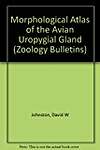A morphological atlas of the avian uropygial gland