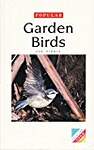 Popular Garden Birds