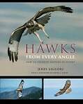 Hawks from Every Angle â' How to Identify Raptors In Flight