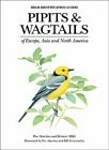 Pipits and Wagtails of Europe, Asia and North America: Identification and Systematics
