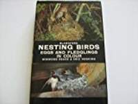 Nesting Birds, Eggs and Fledglings
