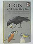 Birds and How They Live
