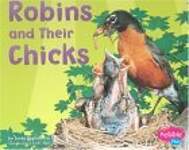Robins and Their Chicks