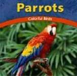 Parrots: Colorful Birds