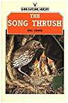 The Song Thrush