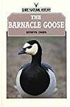 The Barnacle Goose