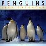 Cal 99 Penguins Calendar