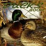 Ducks 2000 Calendar