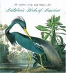 Audubon's Birds Of America